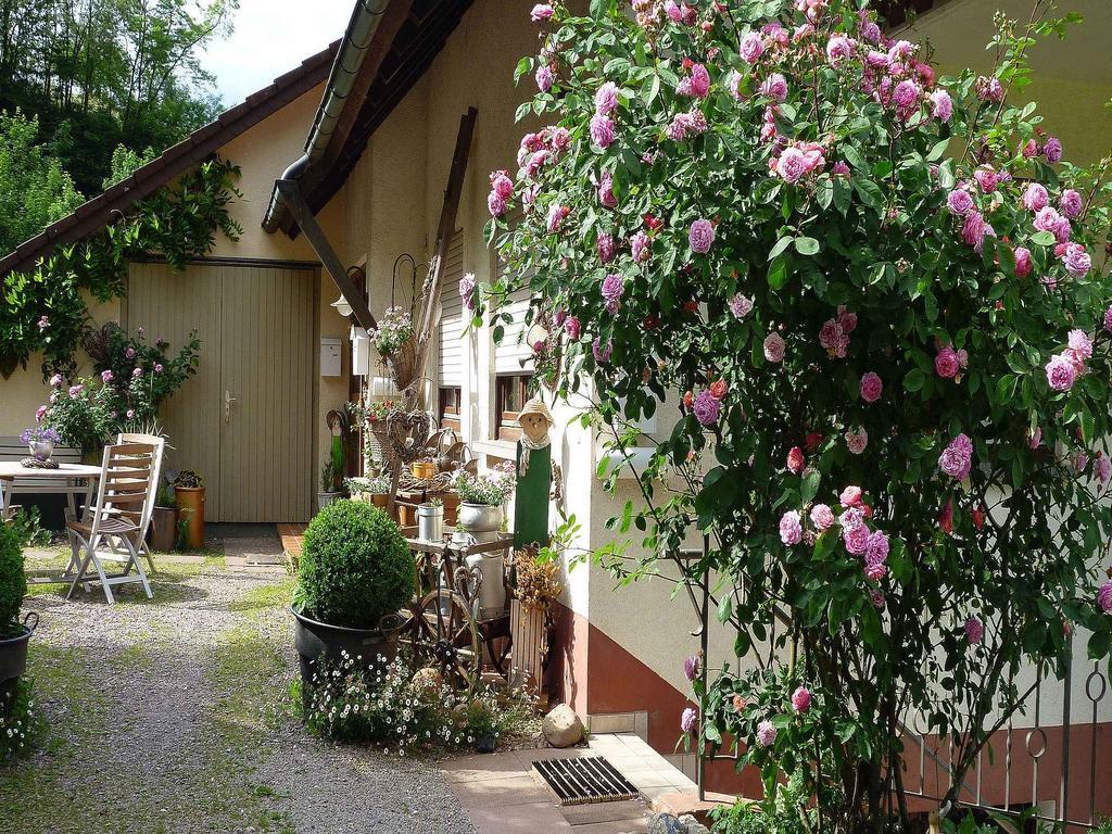 Ferienwohnung Hugelgarten Oppenau Extérieur photo